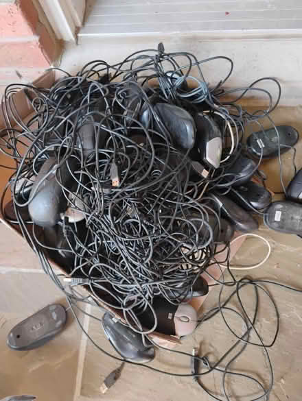 Photo of free Lots of computer mice (Richmond Hill) #1