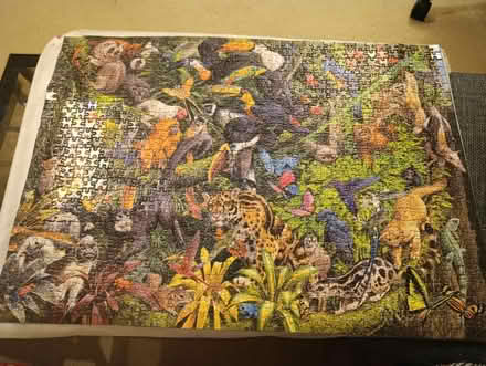 Photo of free Tropical Jigsaw puzzle (Greenacres RH12 2) #1
