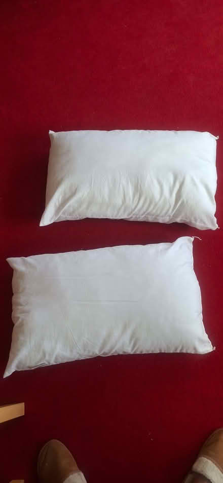 Photo of free 2 Pillows (Leith EH6) #1