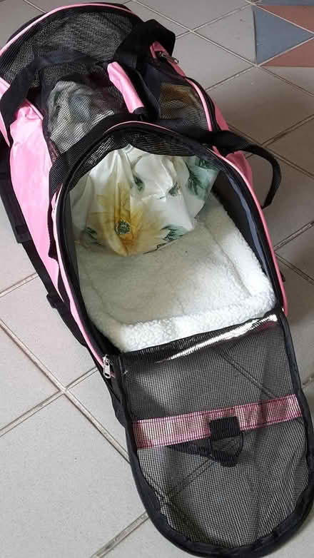 Photo of free Pet Carrier (Queenstown, near MRT) #2