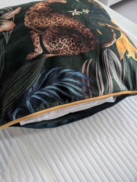 Photo of free M&S cushion and cover (Hitchin SG5) #2