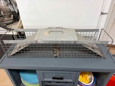 Photo of free Havahart animal trap (2) (S. Leesburg near Banshee Reeks) #1