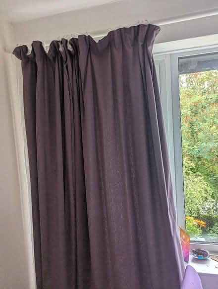 Photo of free Large purple curtains (Patcham BN1) #1