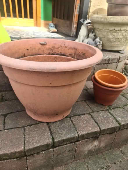 Photo of free Pots (Selsdon CR2) #4