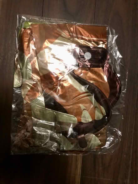 Photo of free Dinosaur party balloons (Latchford WA4) #1