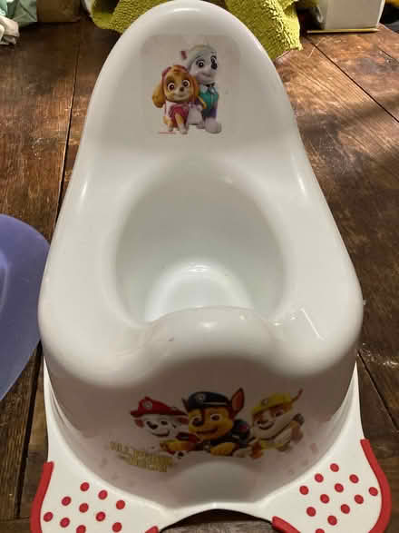 Photo of free Potty and trainer seat (Wales S26) #3