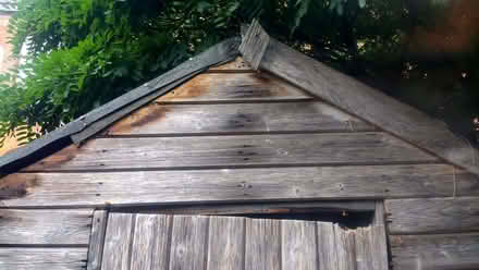 Photo of free Garden shed (Cricket Road OX4) #3