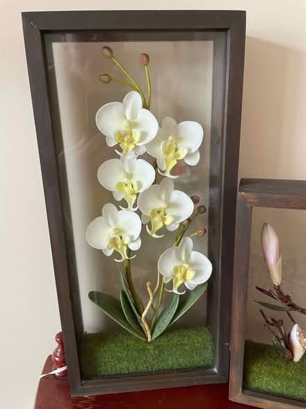 Photo of free Two flower decorative hanging boxes (Talbot Village BH10) #2