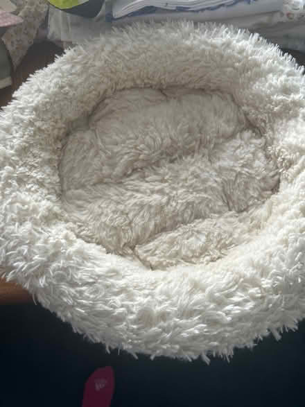 Photo of free Cat bed (Rushwick WR2) #1
