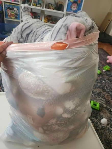Photo of free A bag of plushies (Passaic Nj) #1