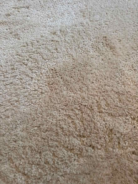 Photo of free 2x3M MADE.com rug (Shepherds Bush W6) #2