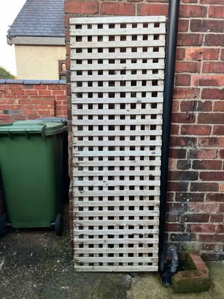 Photo of free Trellis (DE5 Codnor) #1