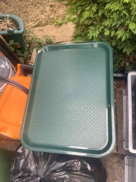 Photo of free Plastic trays x25 (Willington street, Senacre) #1