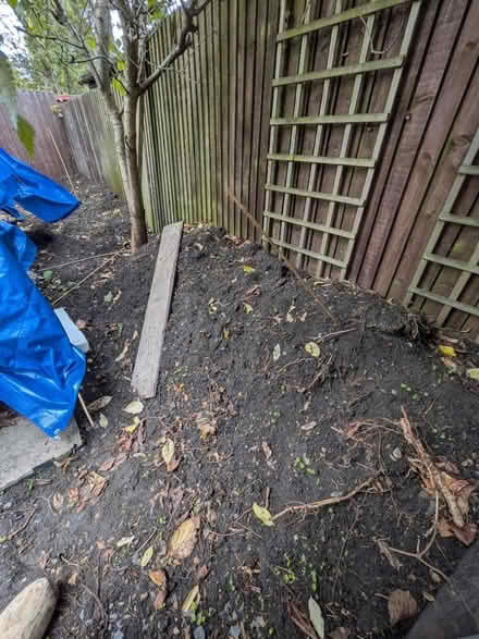 Photo of free 3 tonnes organic top soil (Petersfield CB1) #1
