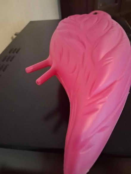 Photo of free Plastic flamingos (60th cedar ave 19143) #3