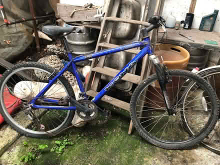 Photo of free Bicycles (Thames Ditton KT8) #4