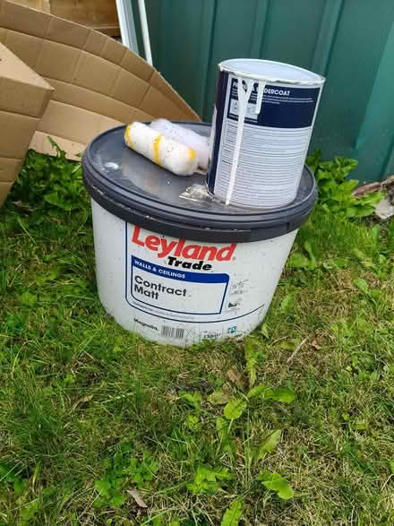 Photo of free Paint (Middleton M24) #1