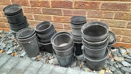 Photo of free Mixed size black plantpots (Kenilworth CV8) #1
