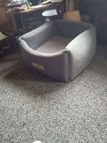 Photo of free Grey dog car seat (Odd Down BA2) #1