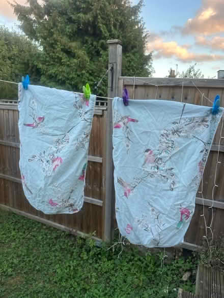 Photo of free Double duvet cover +2 pillowcases (Hitchin SG5) #3