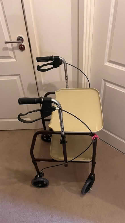 Photo of free Trolley for disabled (gl53 9ga leckhampton) #2