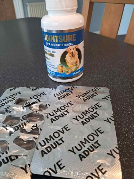 Photo of free Dog joint supplements (Belper DE56) #2