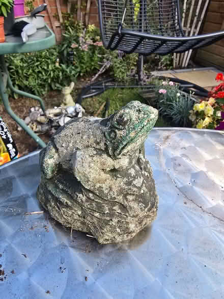 Photo of free Solid stone small frog garden ornament (Braintree CM7) #1