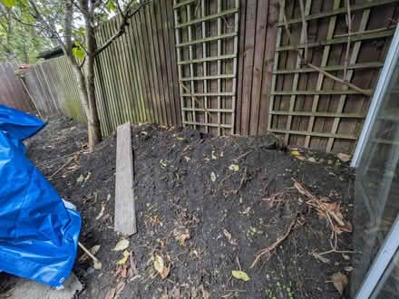 Photo of free 3 tonnes organic top soil (Petersfield CB1) #4
