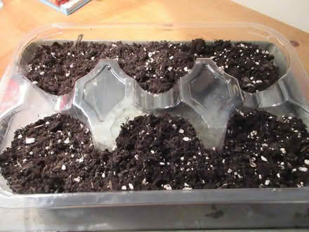 Photo of free Clear Plastic Cell Trays (Dublin 12) #4