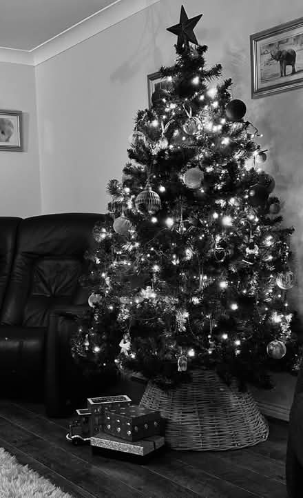 Photo of free Artificial 6’ Xmas Tree (Bromsgrove B60) #1