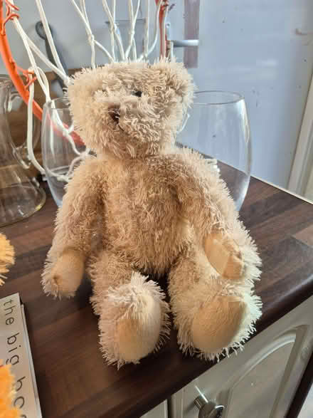 Photo of free Bear (Newby YO12) #1