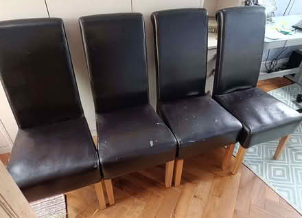 Photo of free Dining room chairs (Greystones S11) #1