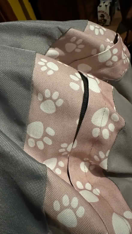 Photo of free Dog bed (Weston super mare) #3