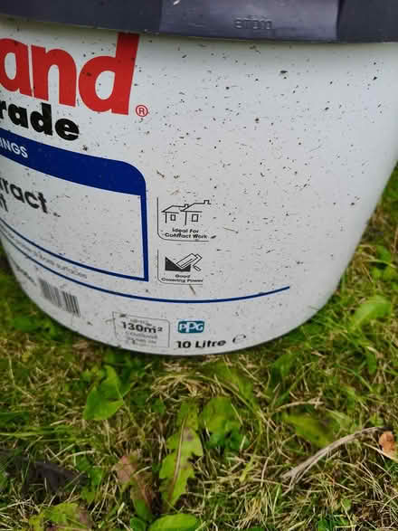 Photo of free Paint (Middleton M24) #2