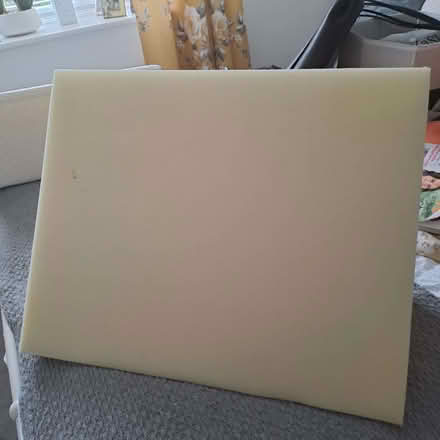 Photo of free Foam Back Support Pillow (Old Town TN40) #4