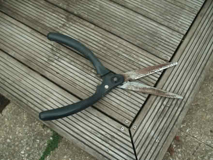 Photo of free Garden shears (Portslade by Sea BN3) #2