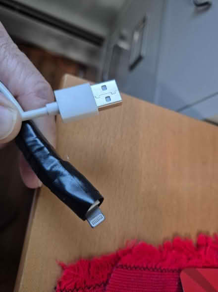 Photo of free Apple charger (20817) #1