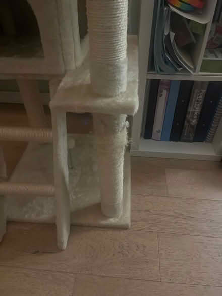 Photo of free Cat tree in good shape (Upper Holloway N19) #2