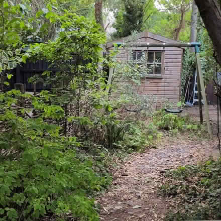 Photo of free Garden shed (Petersfield CB1) #2