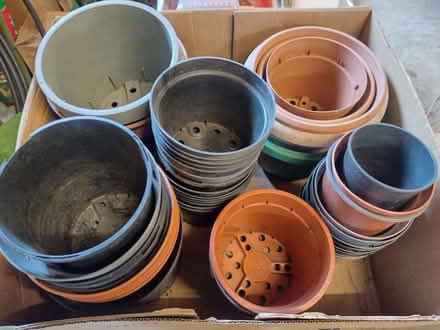 Photo of free Flower pots, 2 litre and larger (Six Ways AL8) #1