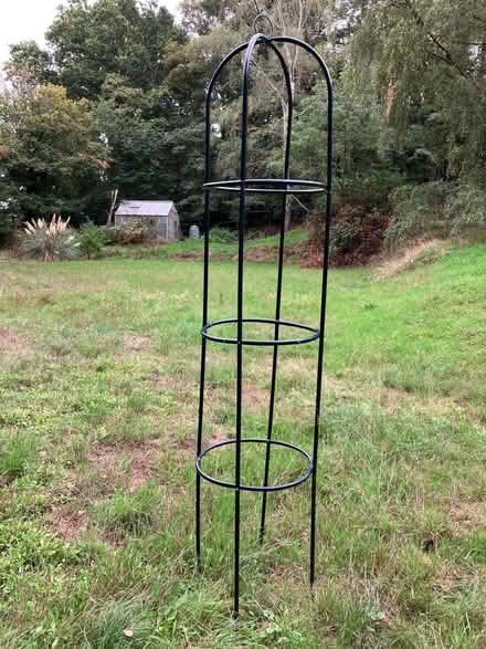 Photo of free Climbing Plant Support - Outdoor (Everton SG19) #1