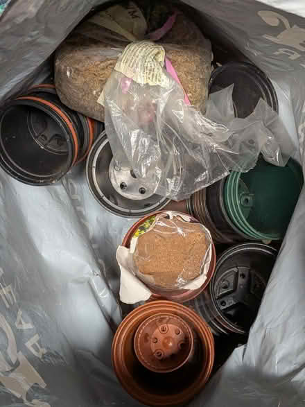 Photo of free Plant pots (Norwich NR3) #1