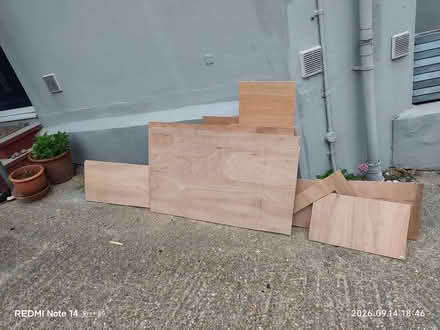 Photo of free Ply offcuts (West Hill Road TN38) #1