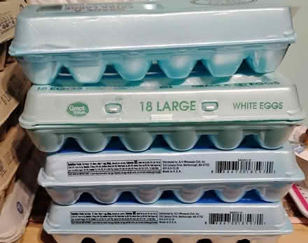 Photo of free Egg Crates (Holbrook) #2