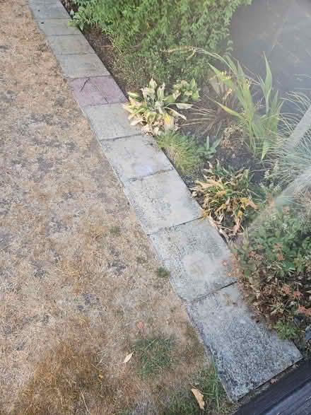 Photo of free Concrete Patio / Paving Tiles (Elmers End BR3) #1