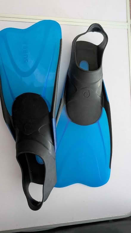 Photo of free Flippers (size 9.5-10.5) (Starbeck HG2) #1