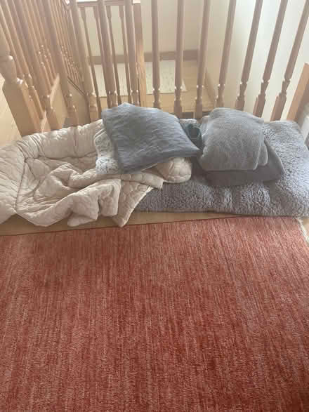 Photo of free Dog blankets/bed (Nw8 0qn) #1