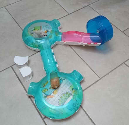 Photo of free Zhu Zhu pets hamster track (Barley SG8) #1