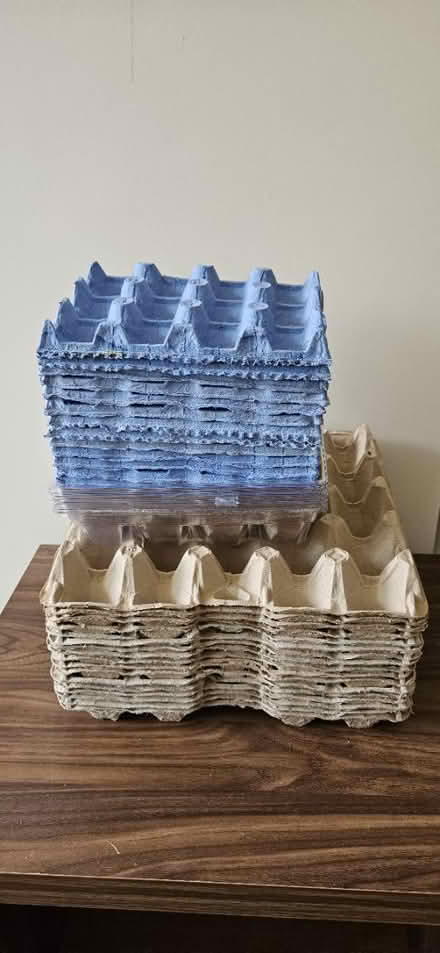 Photo of free Egg trays (Cm1 6gz) #1