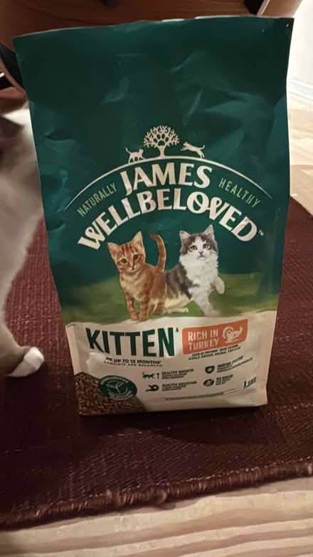 Photo of free Complete kitten food dry kibble (SW13) #1